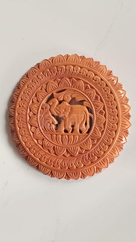 premium-listing-image