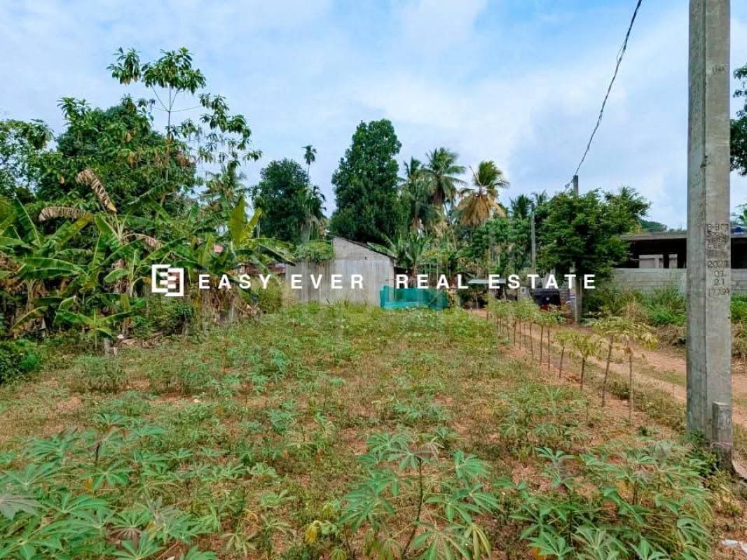 Residential Land for Sale in Kadawatha