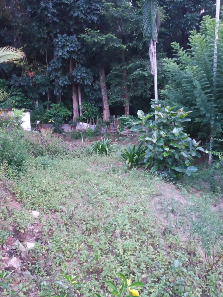 Residential Land for Sale in Kandy