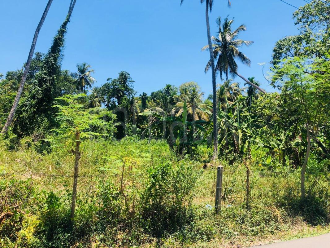  Land for Sale in Ekala