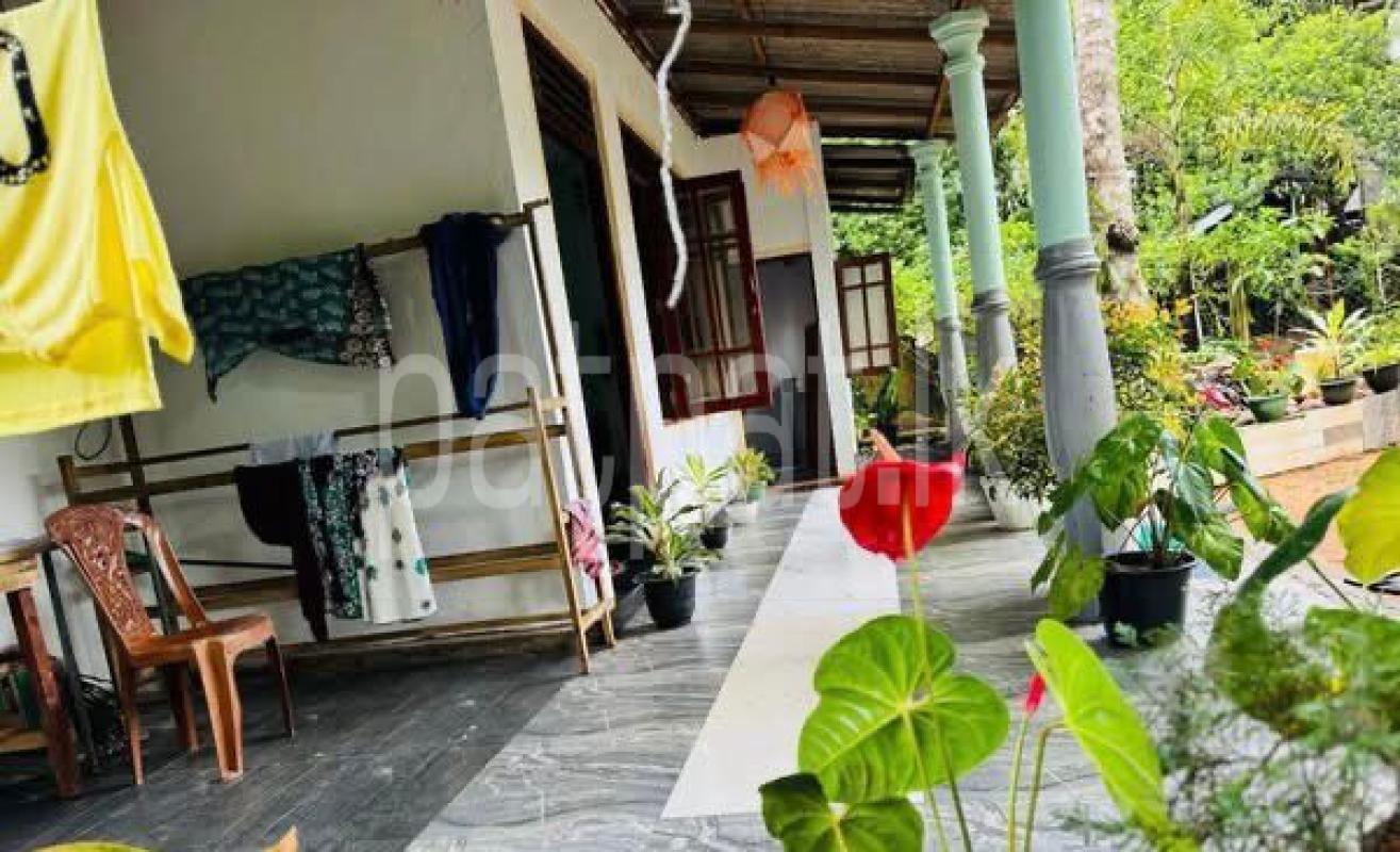 House for Sale in Naranwala