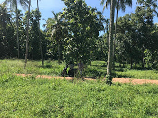 Residential Land for Sale in Udubaddawa