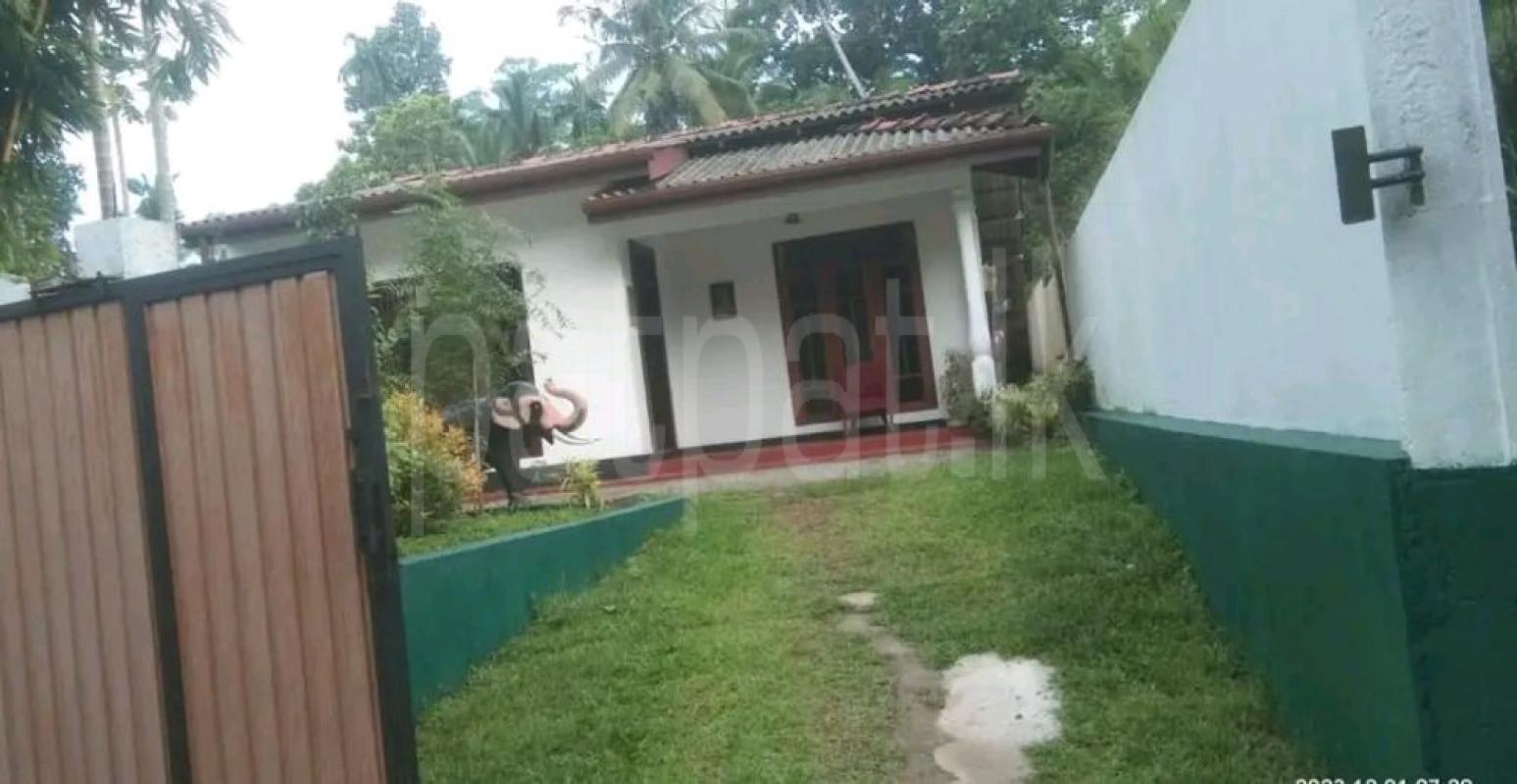 House for Sale in Polgasowita ads-image-1