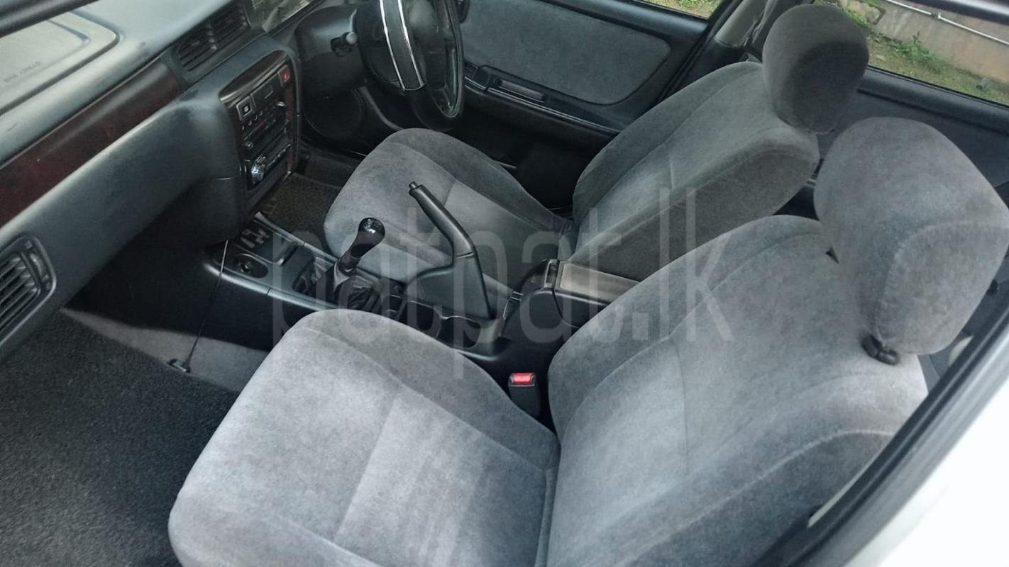 Advertisement image 5