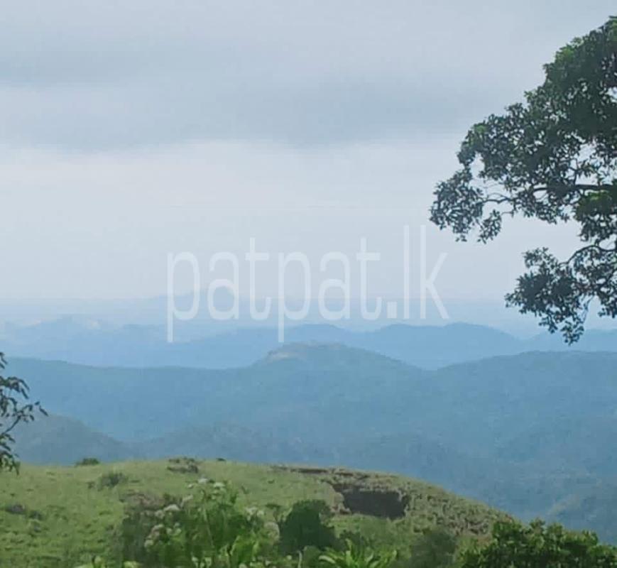Commercial Land for Sale in Matale