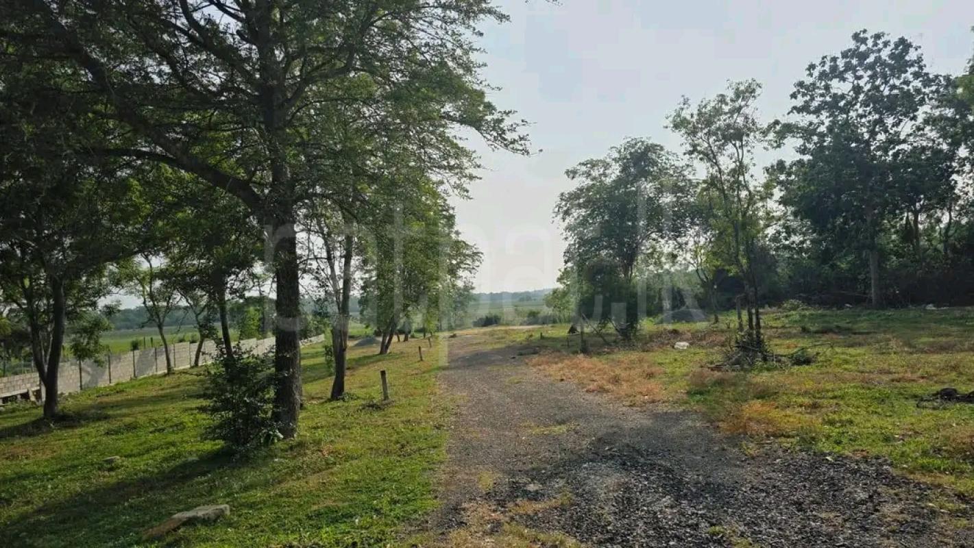 Agricultural Land for Sale in Ampitiya