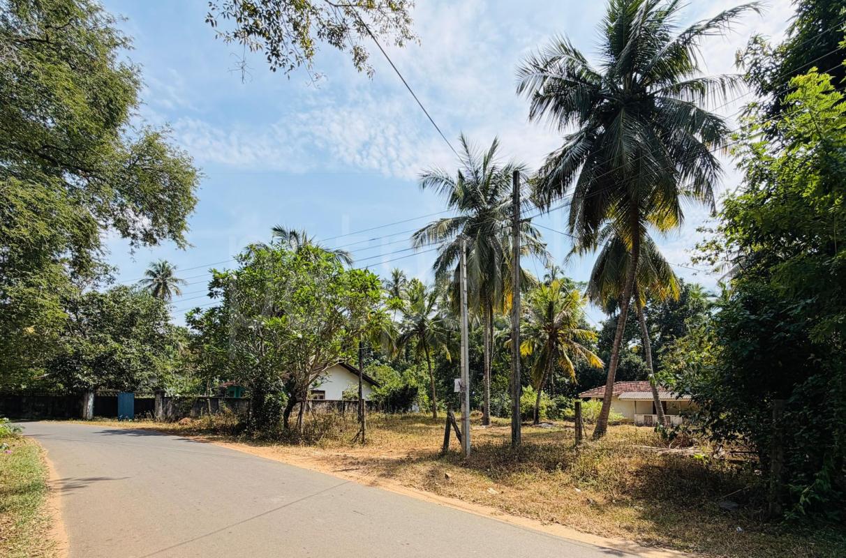 Commercial Land for Sale in Embilipitiya ads-image-1