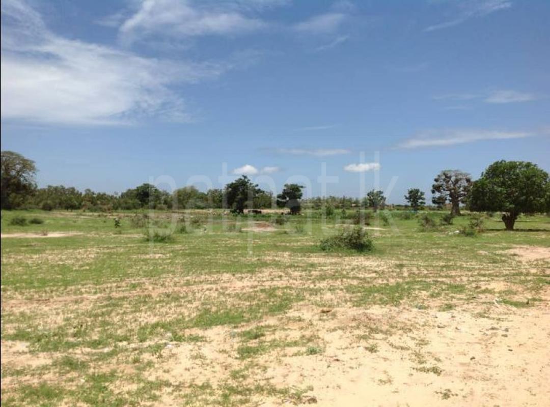 Commercial Land for Sale in Dehiwala ads-image-1