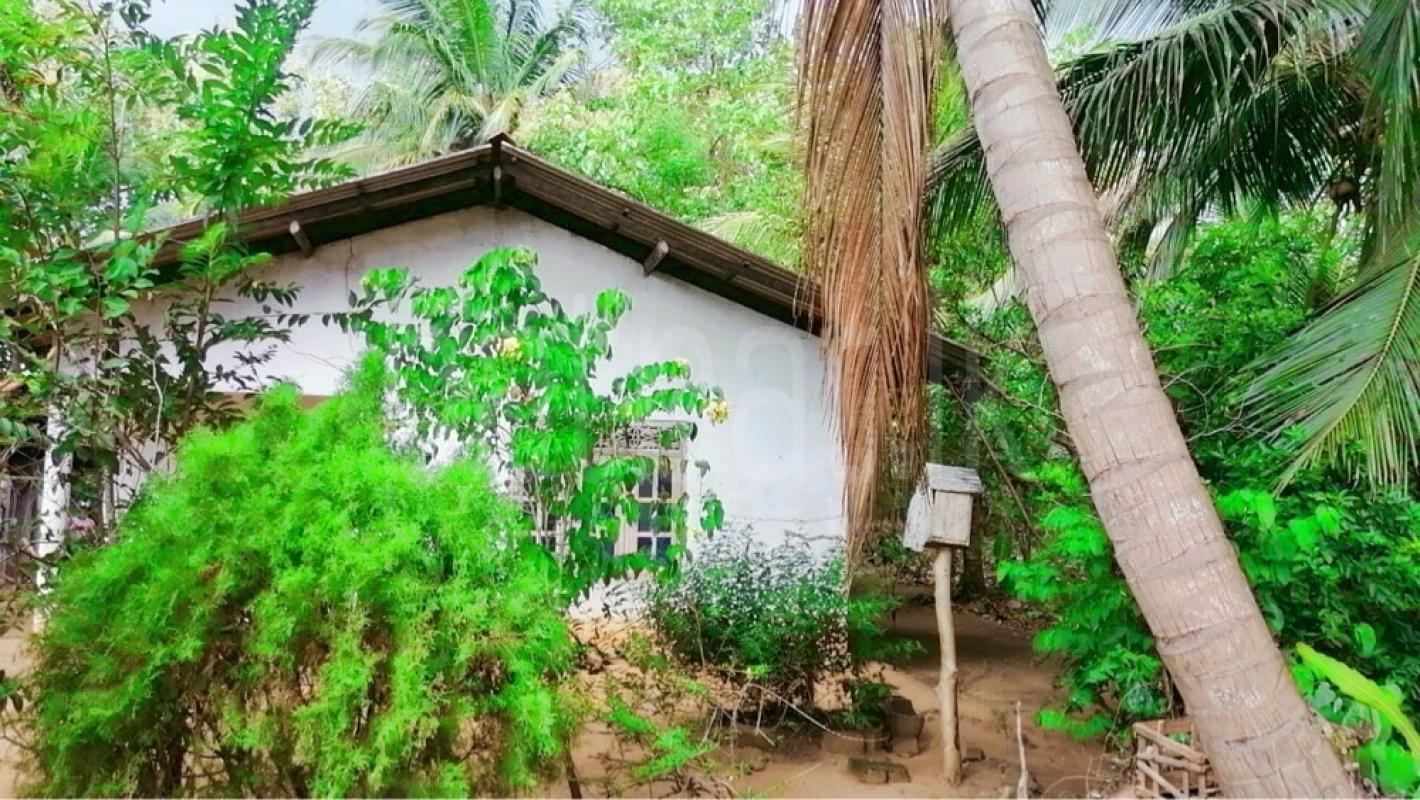 House for Sale in Embilipitiya