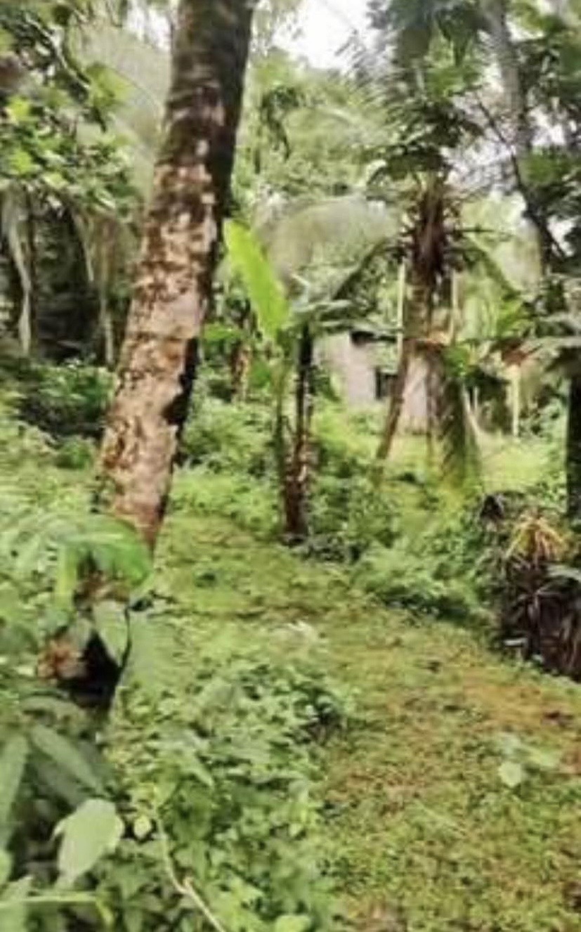 Land for Sale in Kahathuduwa ads-image-1