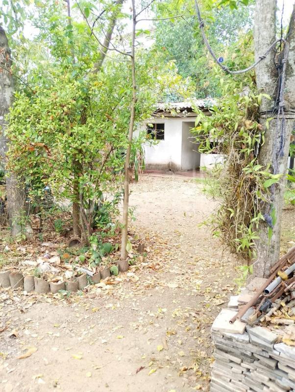 Residential Land for Sale in Kottawa