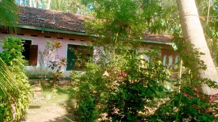 Advertisement image 6