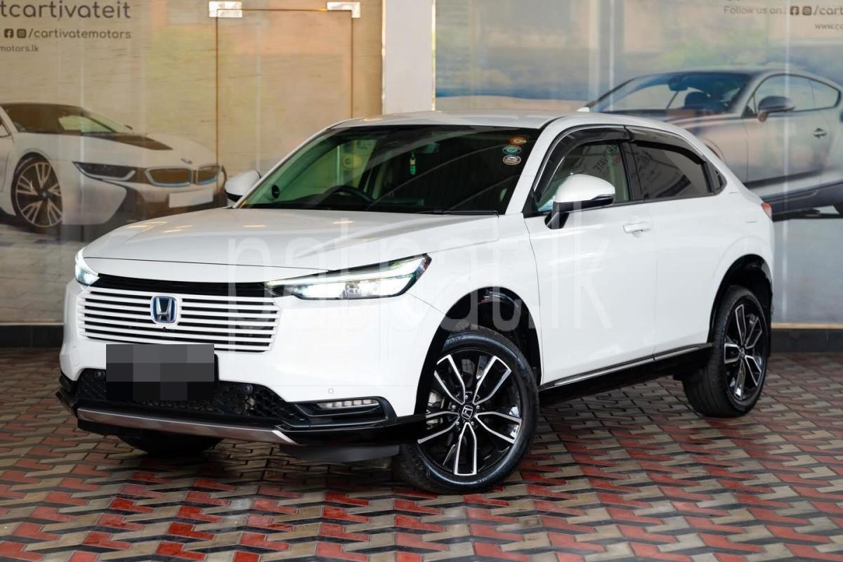 Advertisement image 1