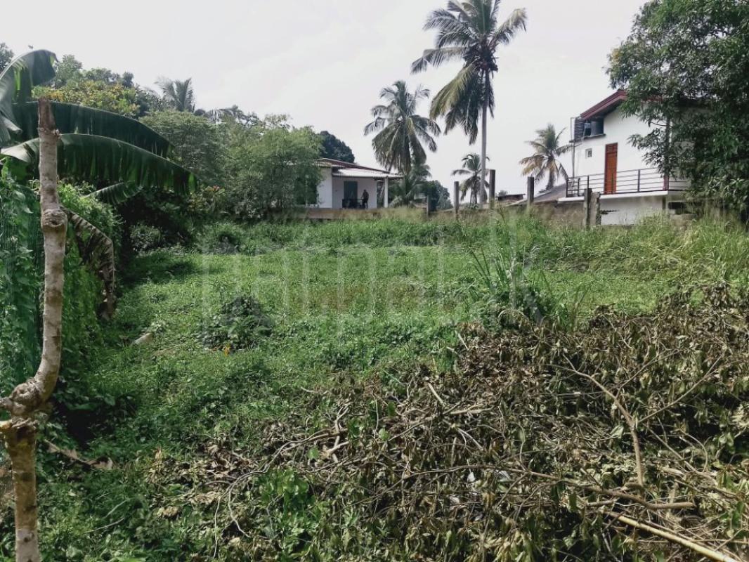 Residential Land for Sale in Kelaniya ads-image-1
