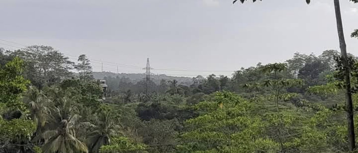 Agricultural Land for Sale in Galle
