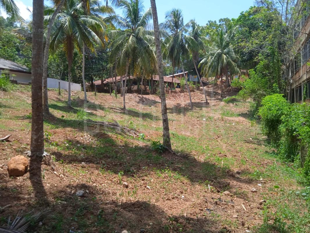 Commercial Land for Sale in Naimana ads-image-1