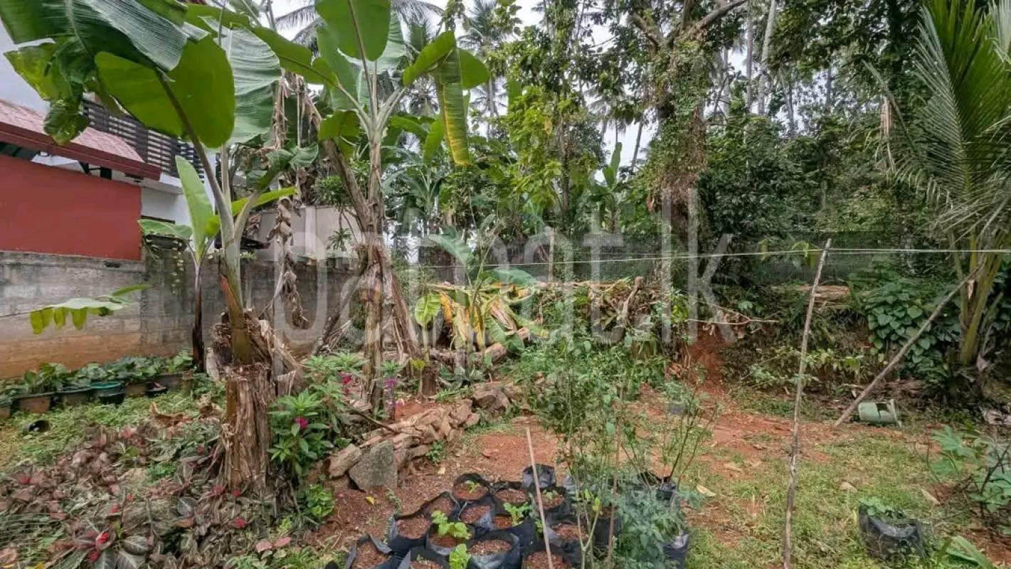 Residential Land for Sale in Mirigama