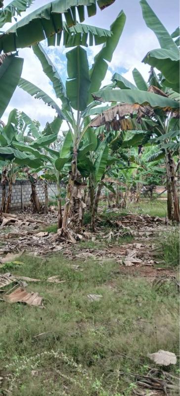 Residential Land for Sale in Kataragama