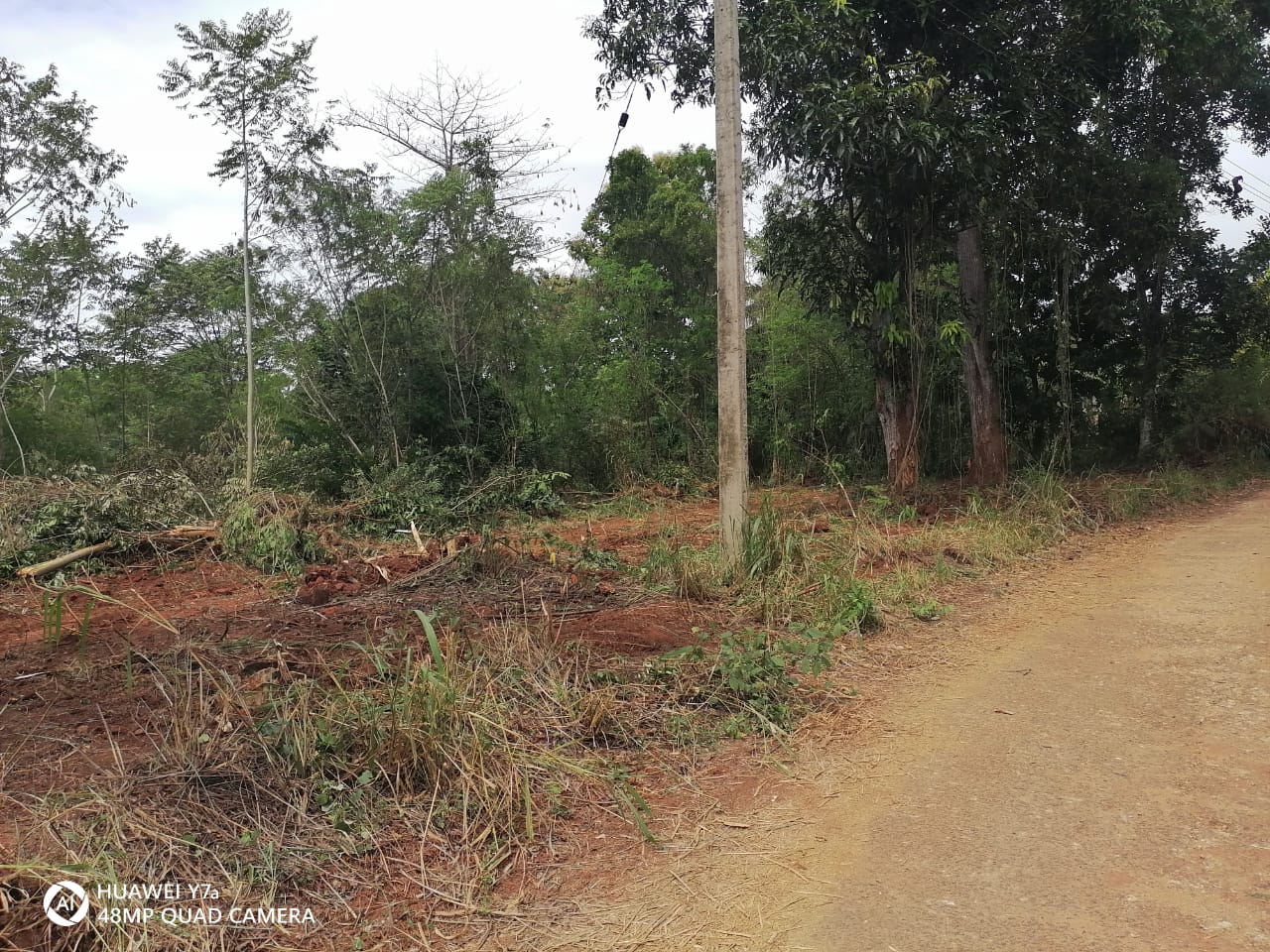 Agricultural Land for Sale in Embilipitiya ads-image-1