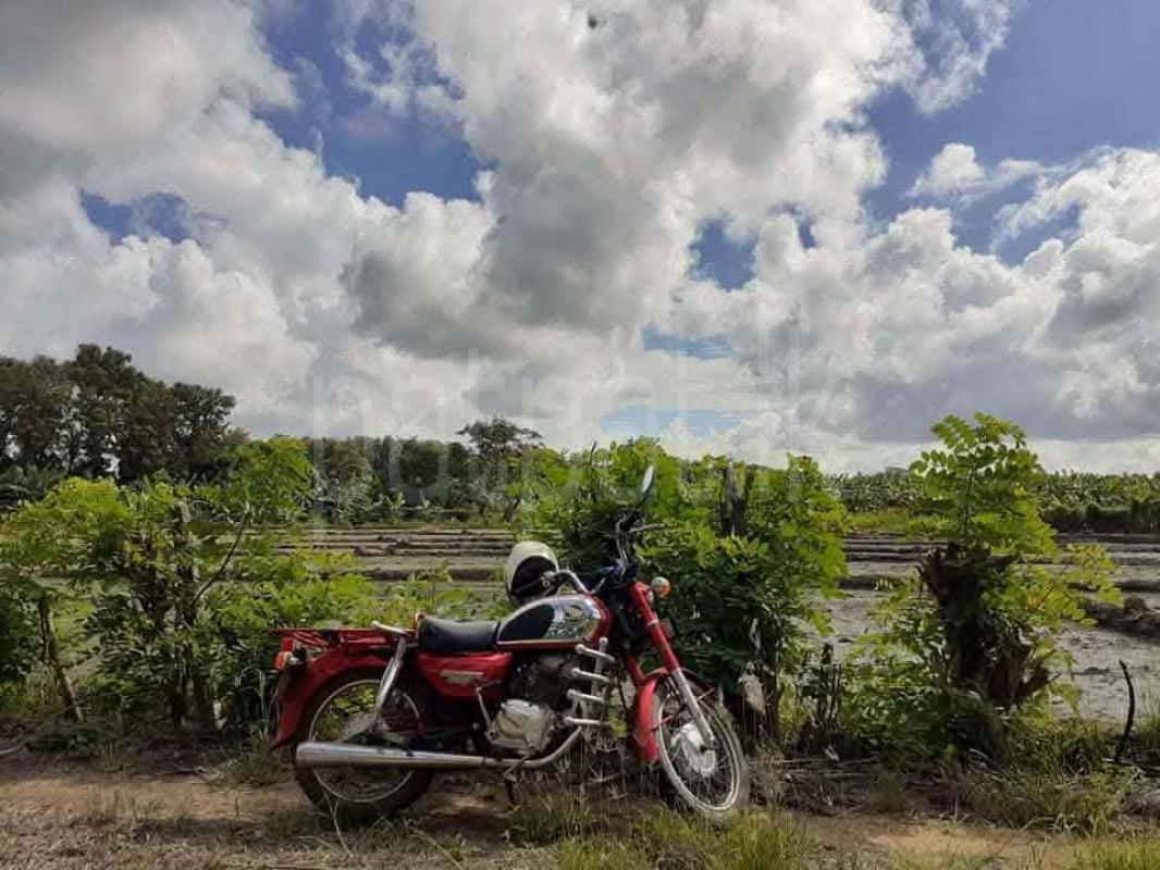 Honda Benly 1987 - பயன்படுத்தப்பட்டது பைக் sale in Sri Lanka - patpat.lk
