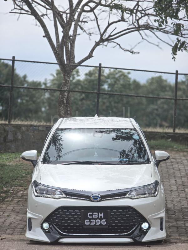 Advertisement image 5