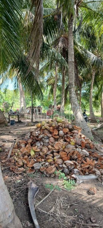 Residential Land for Sale in Kataragama