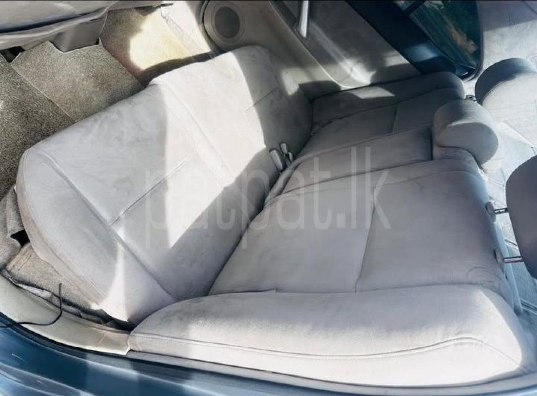 Advertisement image 6