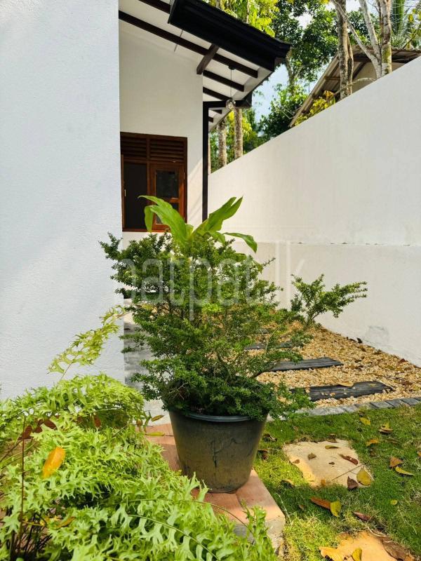 House for Sale in Homagama