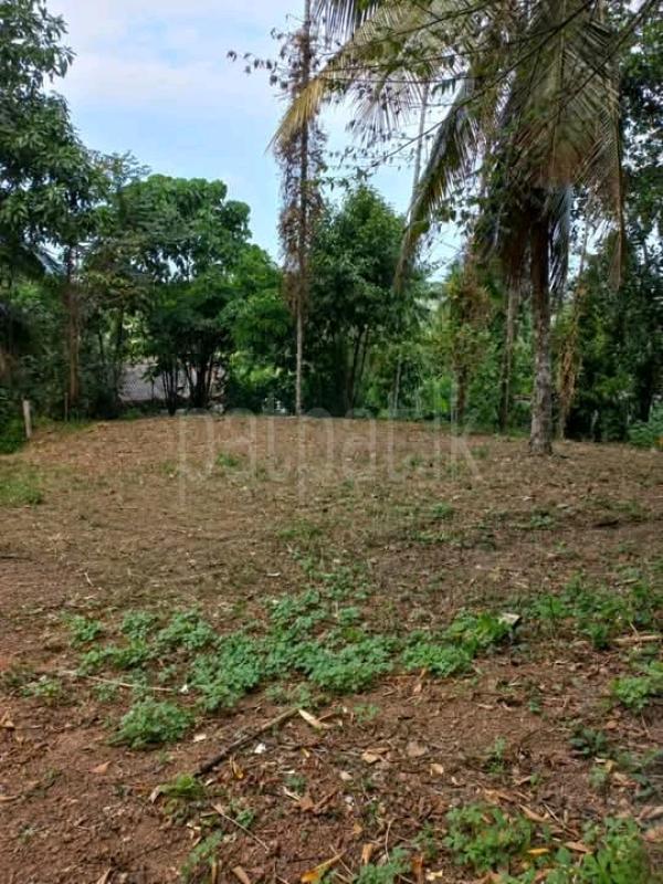 Commercial Land for Sale in Kadawatha
