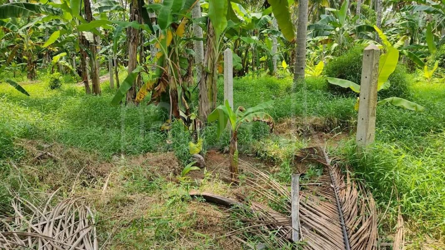 Residential Land for Sale in Galewela