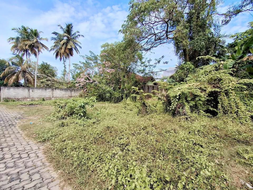 Agricultural Land for Sale in Panadura
