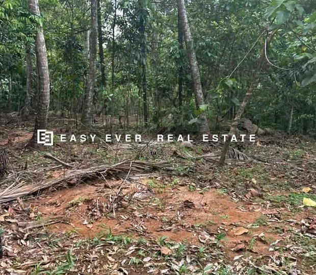 Commercial Land for Sale in Nittambuwa
