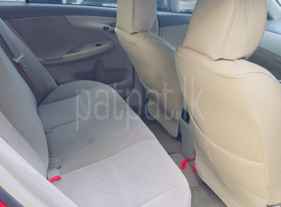 Advertisement image 4