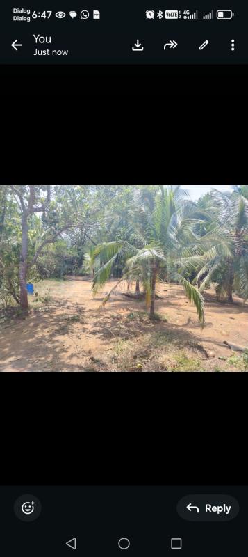 Residential Land for Sale in Dompe