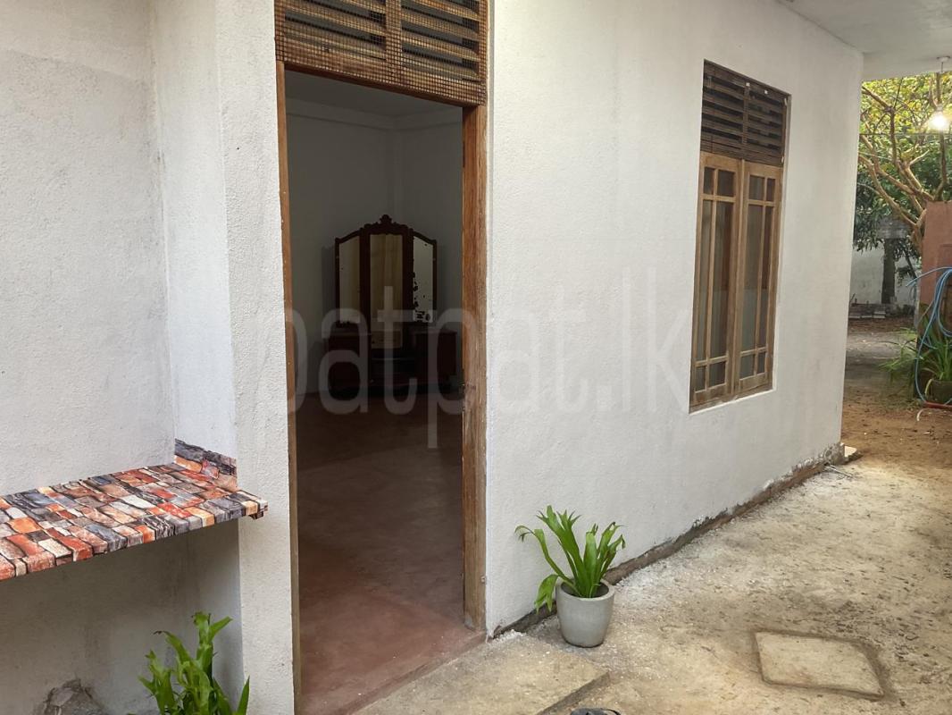 Annex for Rent in Pannipitiya