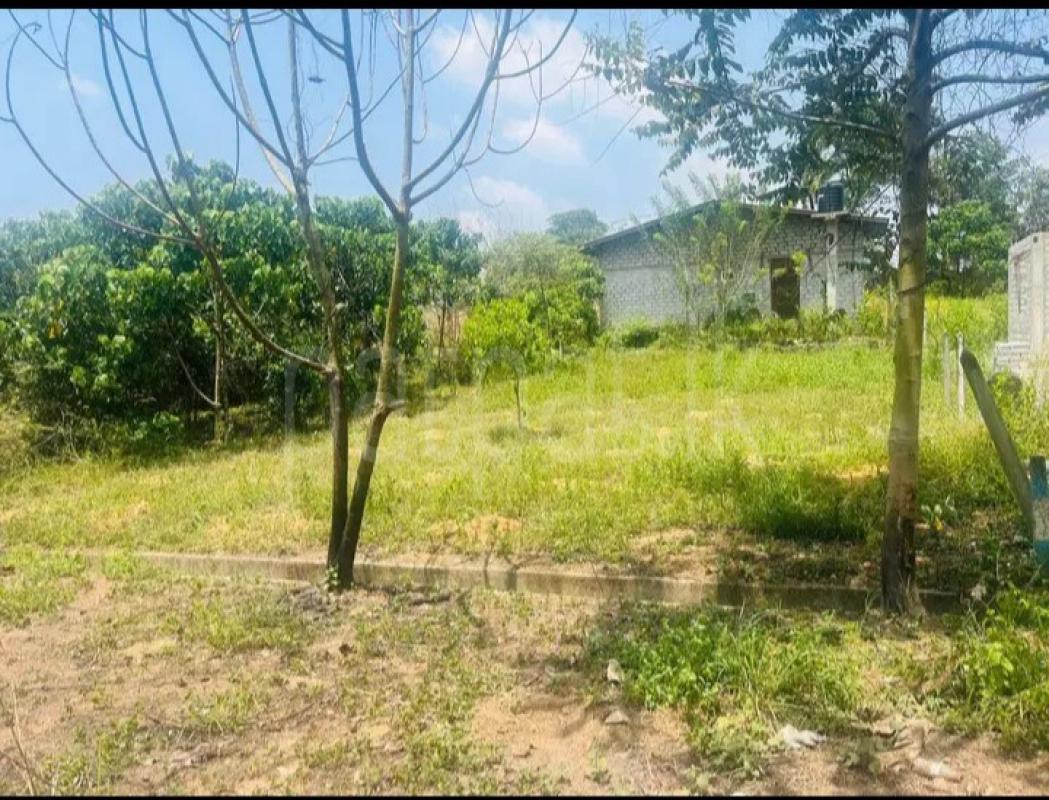 Residential Land for Sale in Gamagoda