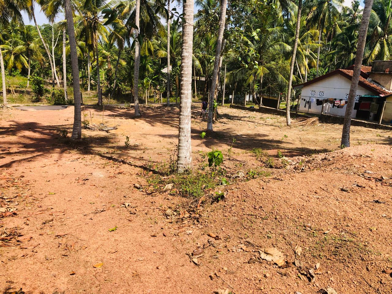 Residential Land for Sale in Katunayake