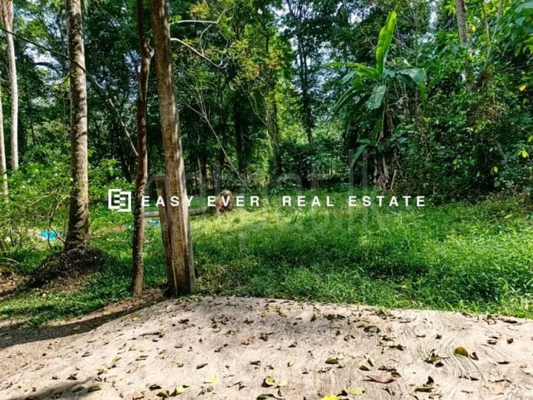 Commercial Land for Sale in Yakkala ads-image-1