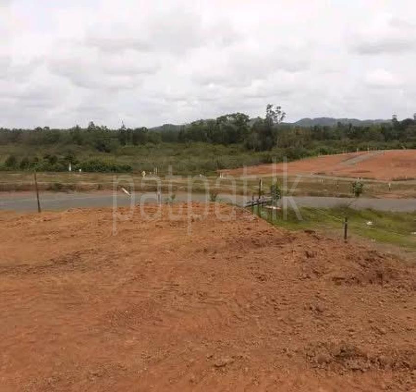 Residential Land for Sale in Koholana ads-image-1