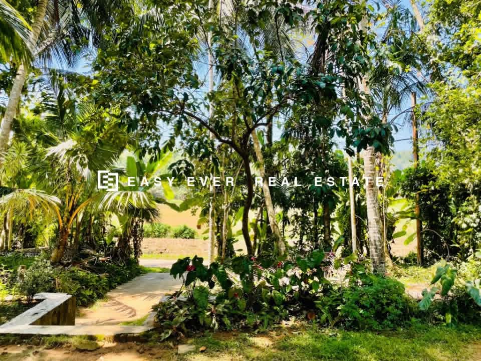 Residential Land for Sale in Warakapola