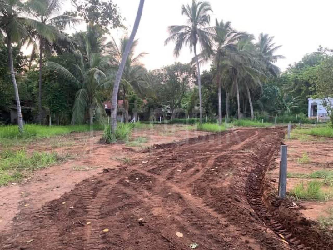 Agricultural Land for Sale in Akaragama