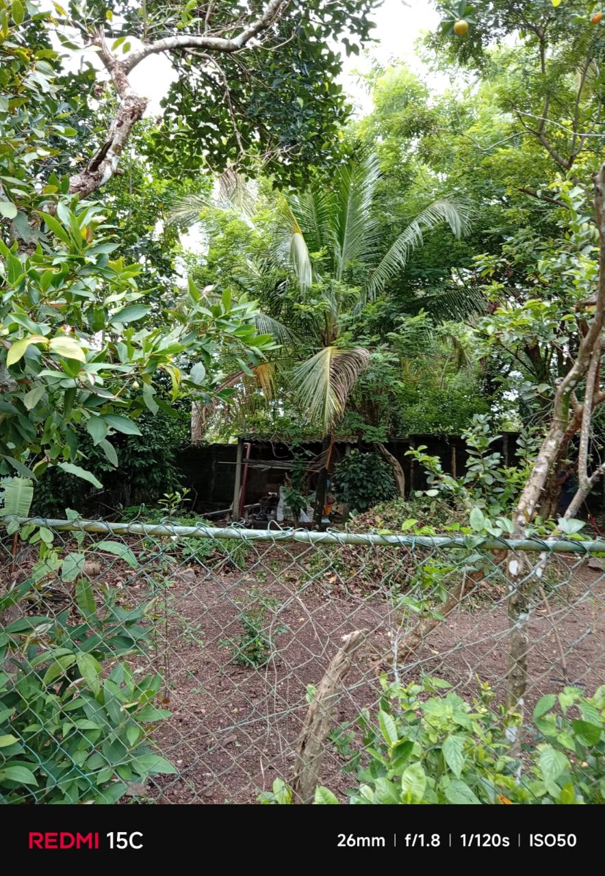Residential Land for Sale in Yakkala