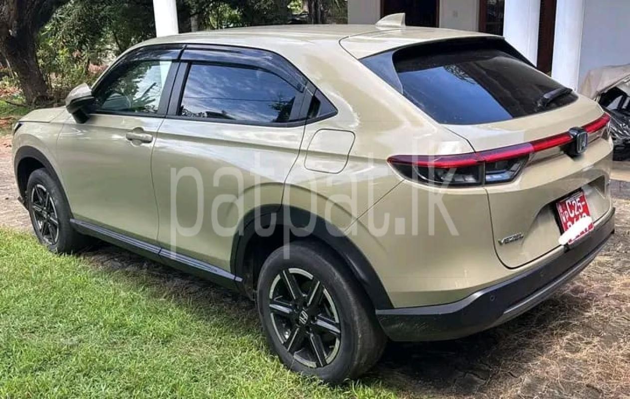 Advertisement image 3