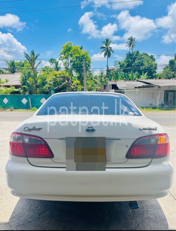 Advertisement image 4