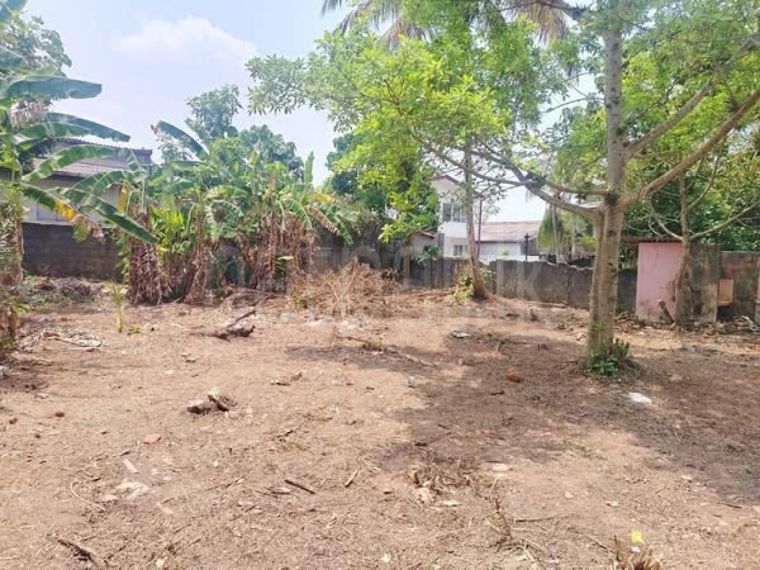 Residential Land for Sale in Homagama