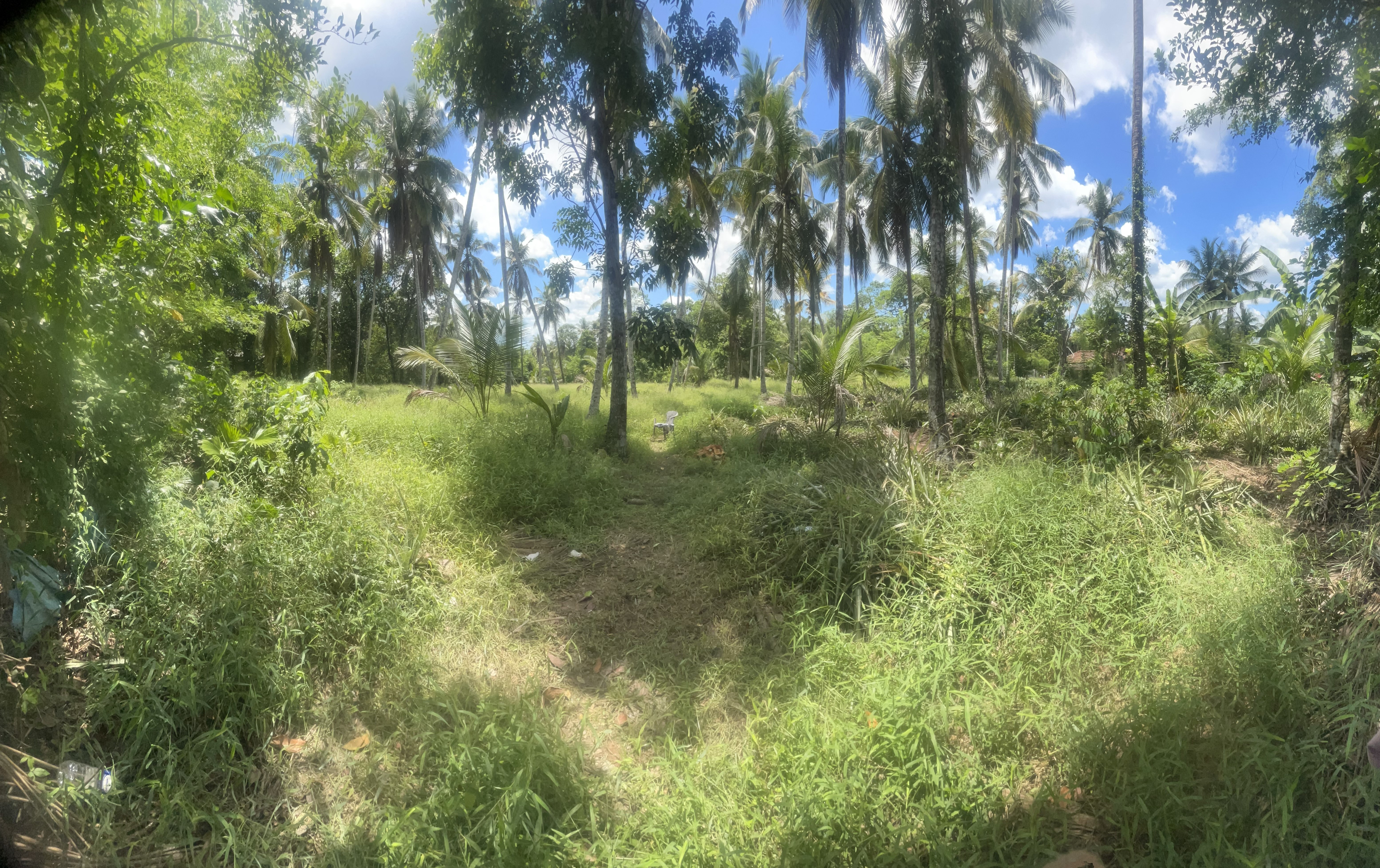 Residential Land for Sale in Gampaha