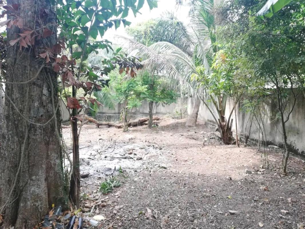 Residential Land for Sale in Wattala