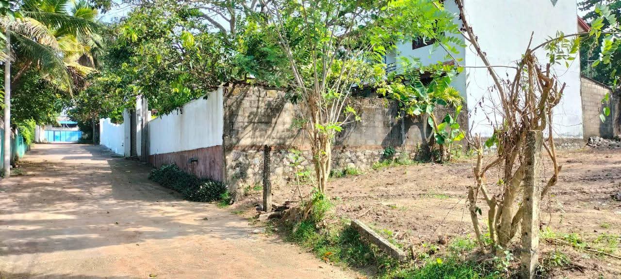 Residential Land for Sale in Kandana ads-image-1