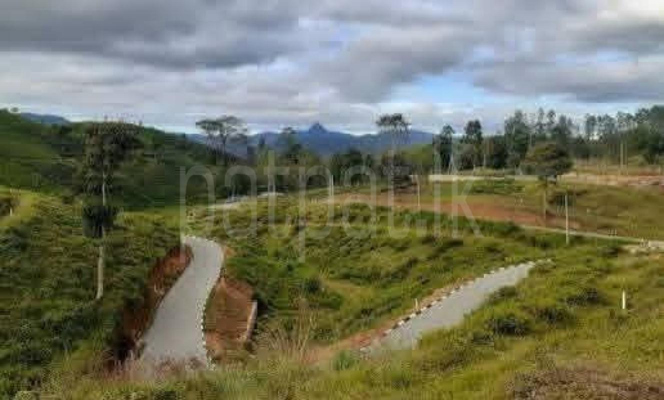 Agricultural Land for Sale in Dikoya