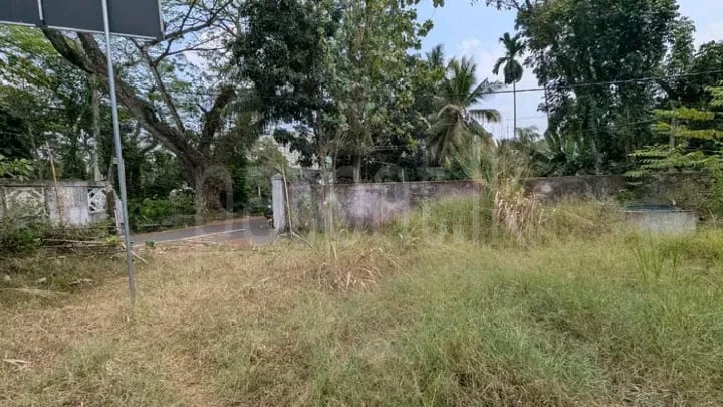 Commercial Land for Sale in Yakkala